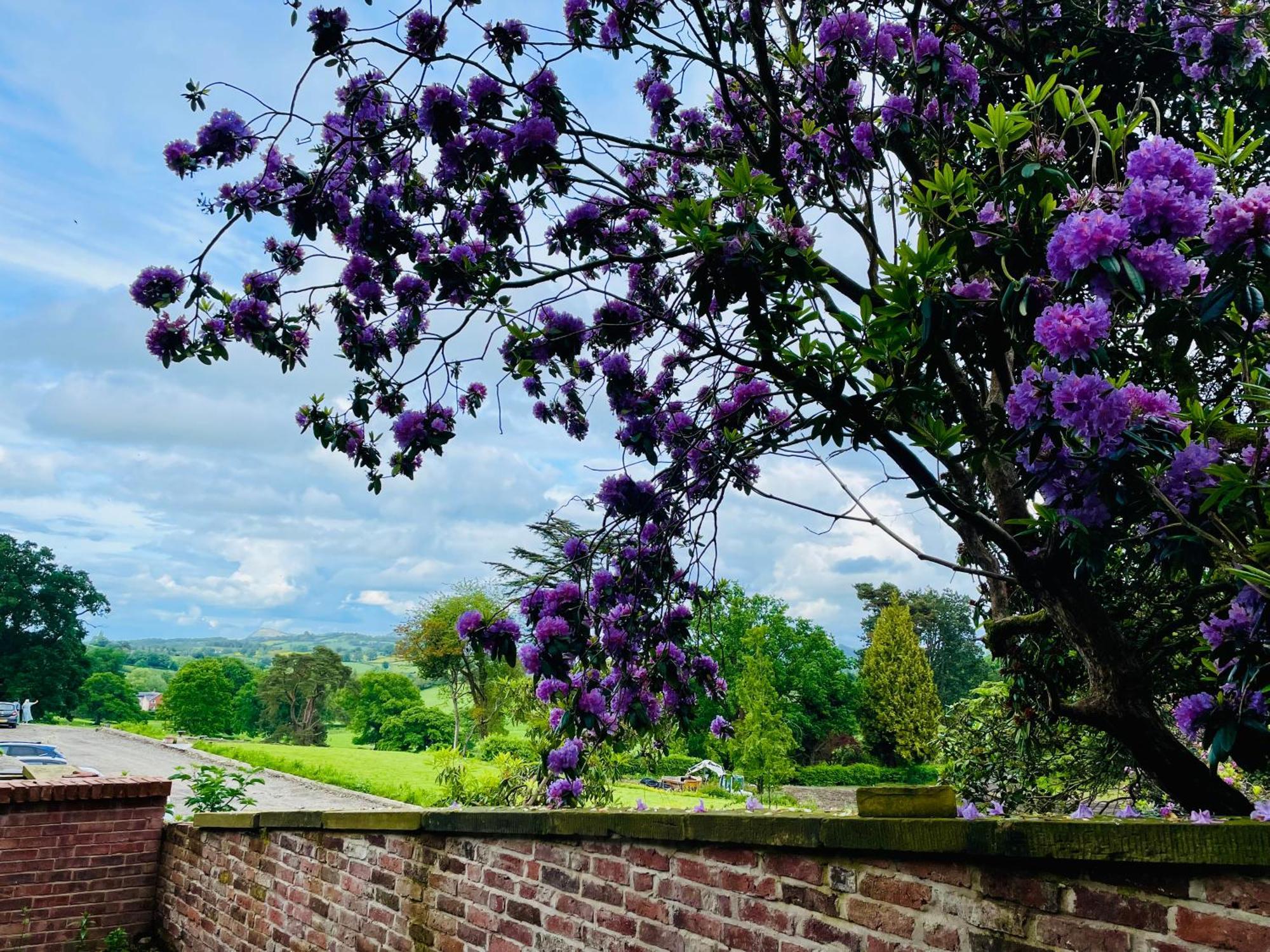 Llanerchydol Hall Welshpool